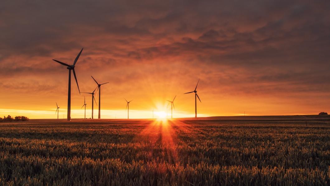 Windmolens op een veld in de ondergaande zon