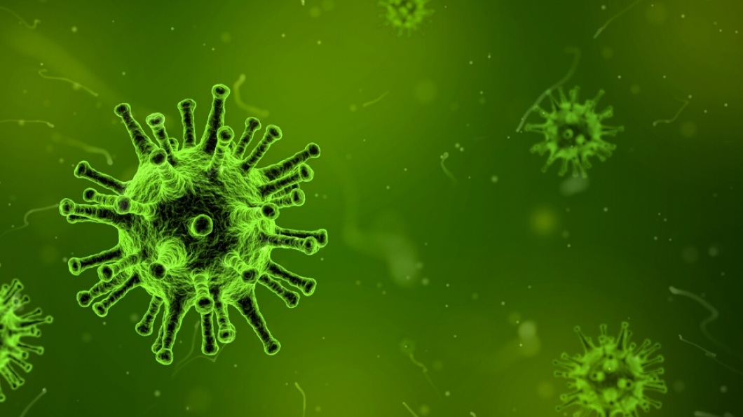 Corona - Rechten vrij .png