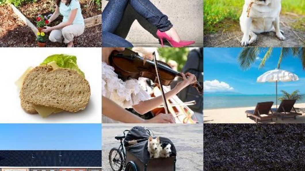 fujifilm-finepix40i_1 (3)_800.jpg