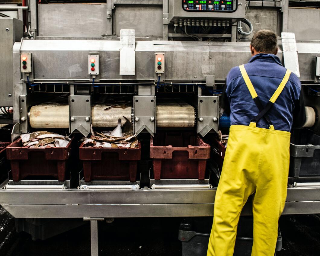 Fabriek, fabriekswerker, industrie