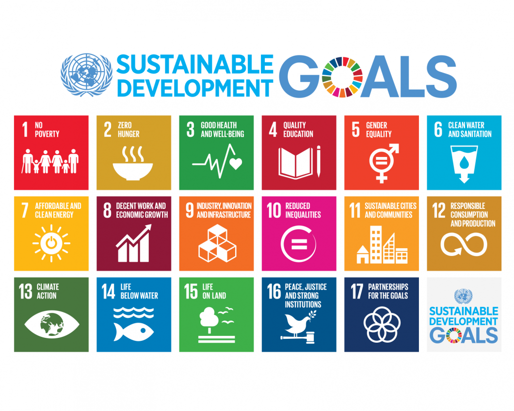 Duurzame ontwikkelingsdoelen