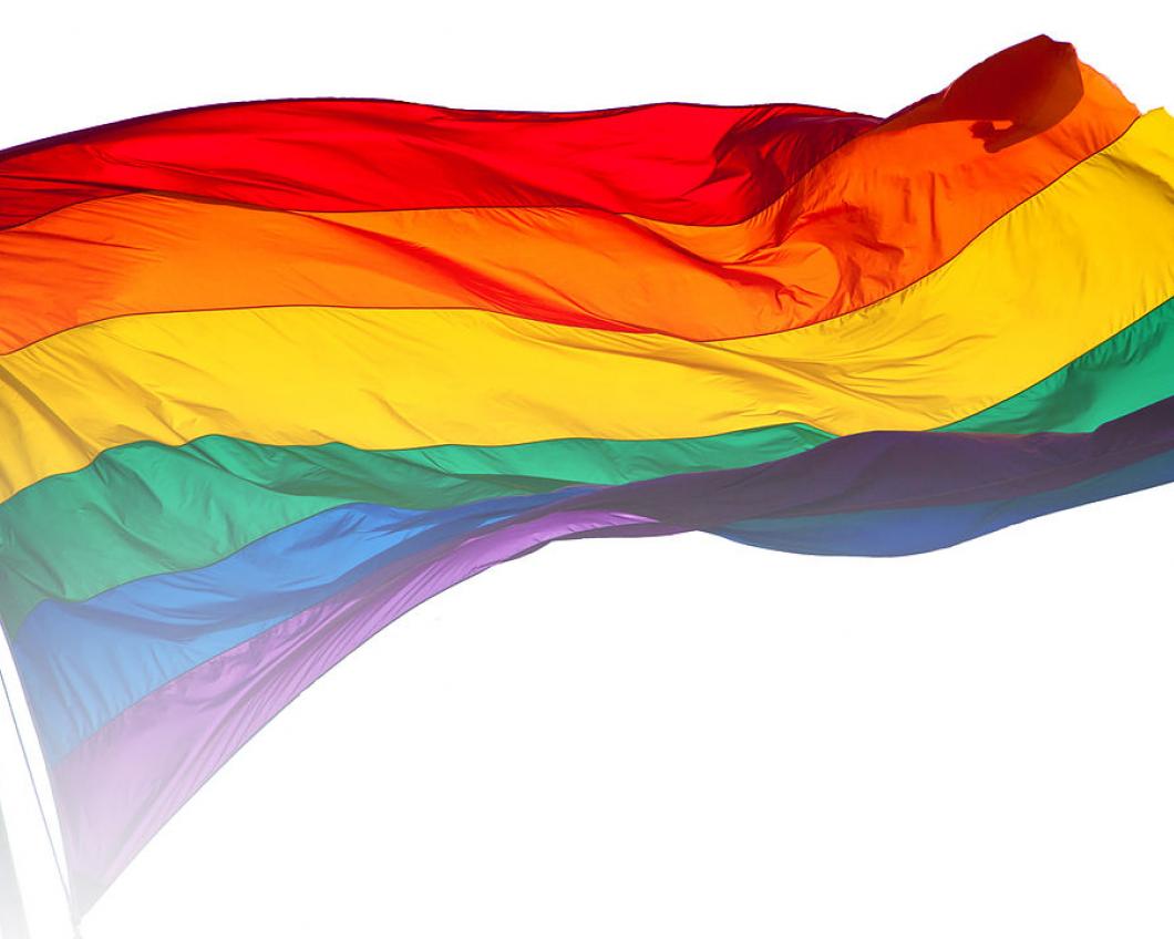 regenboogvlag.jpg