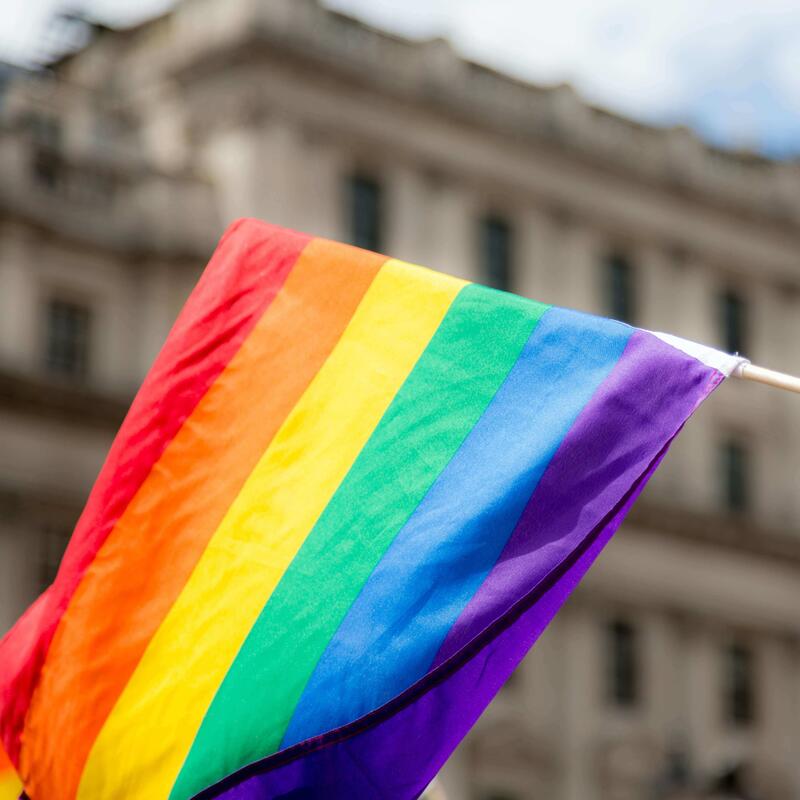 Regenboogvlag
