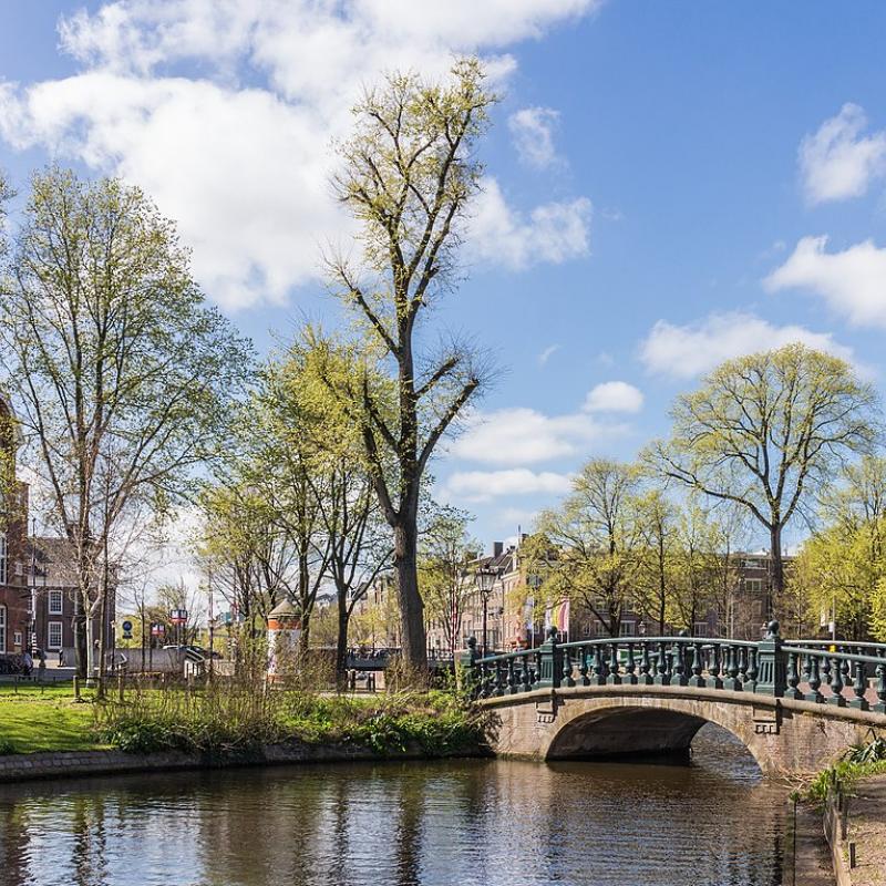 Hortus Botanicus Amsterdam