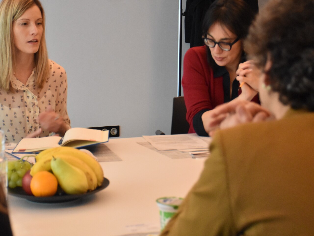 Tineke in gesprek met Hongaarse NGO's